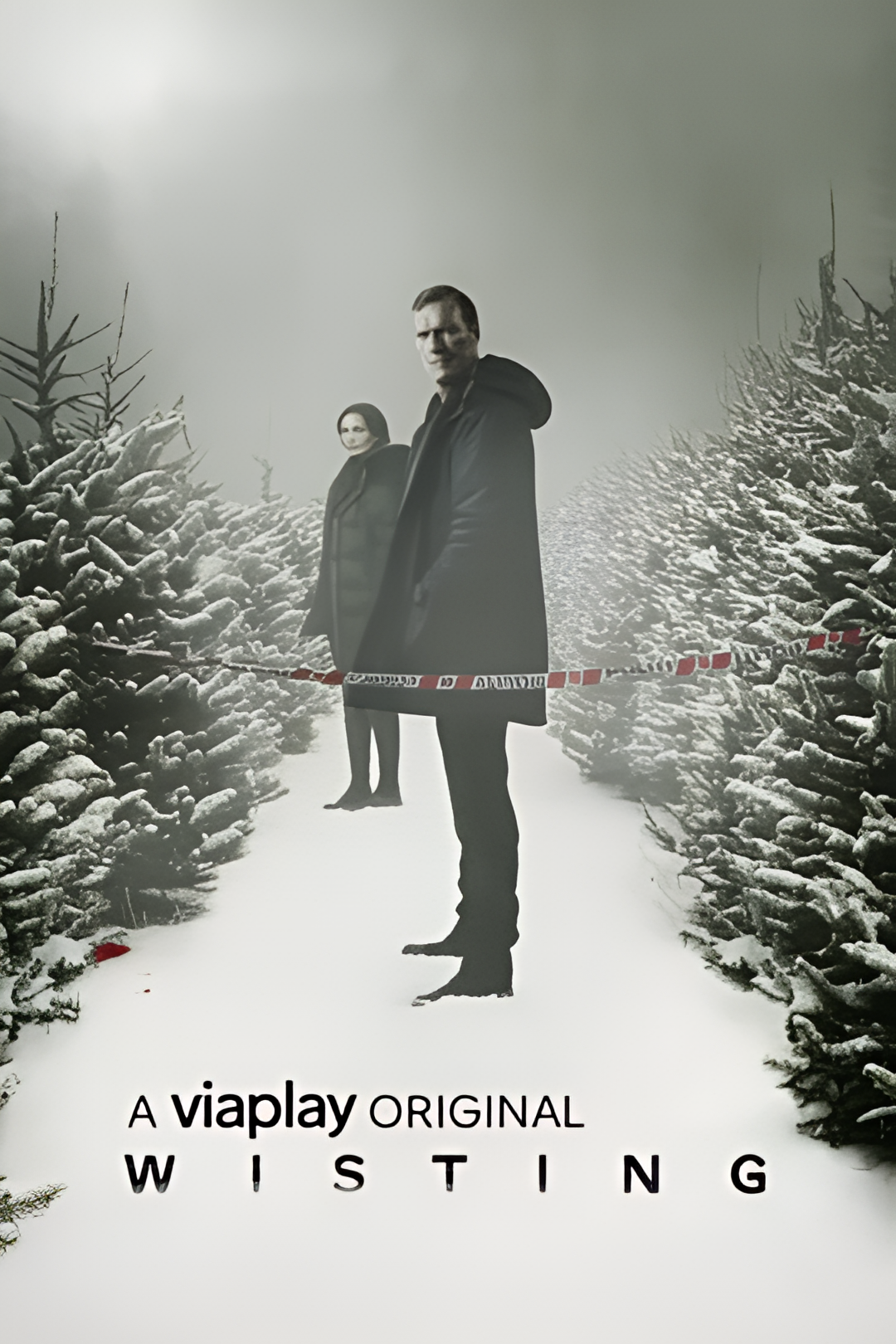 警探维斯廷 第3季